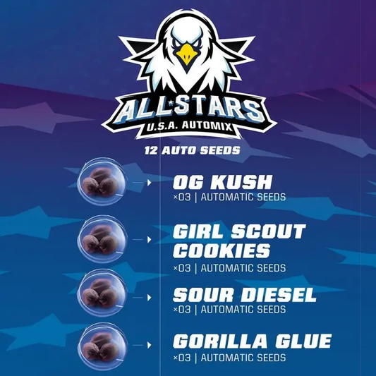 All Stars USA Automix x12 BSF