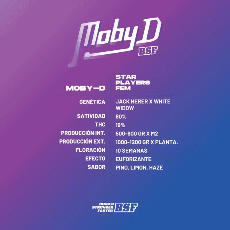 Moby-D x2 – BSF Seeds