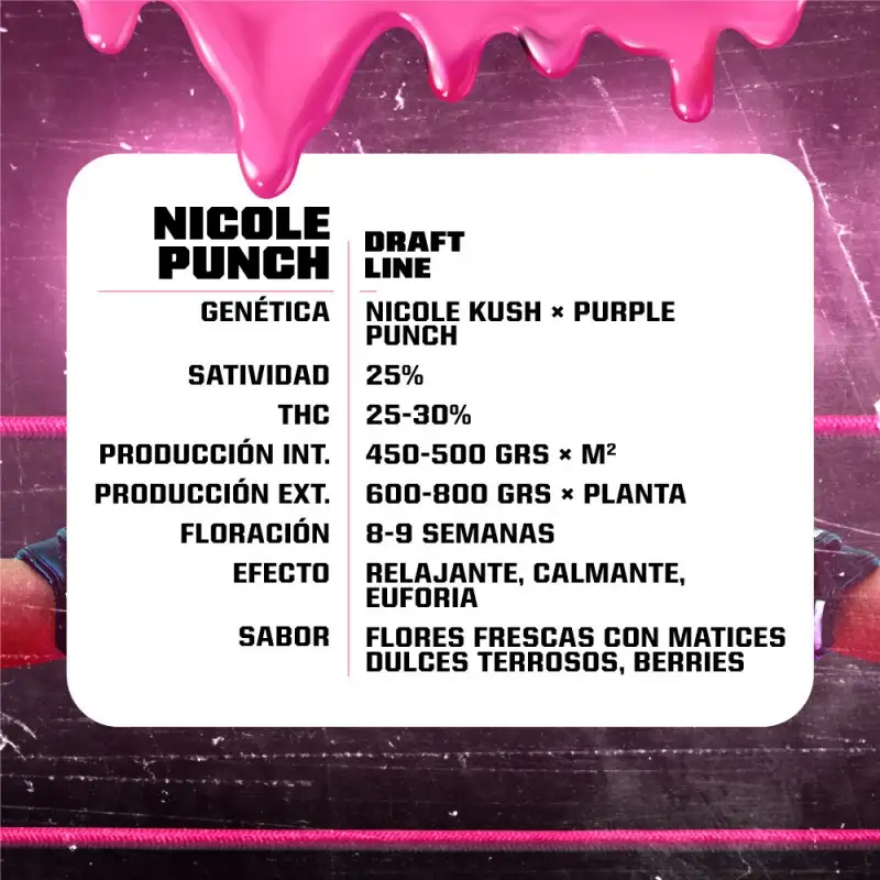 Nicole Punch Feminizada BSF Seeds X4