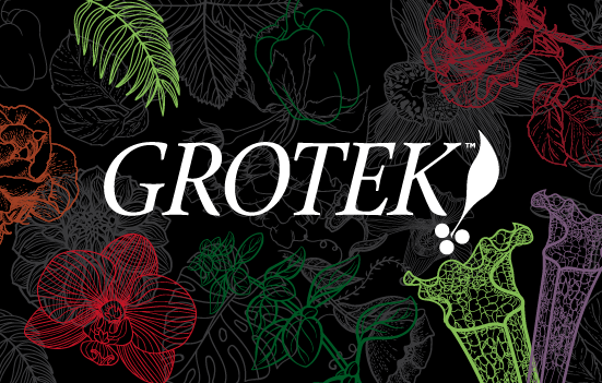 Grotek