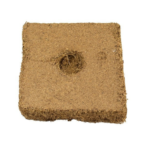 Coco Pot sustrato Mi Productos