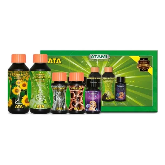 Micro Kit ATA TERRA Atami