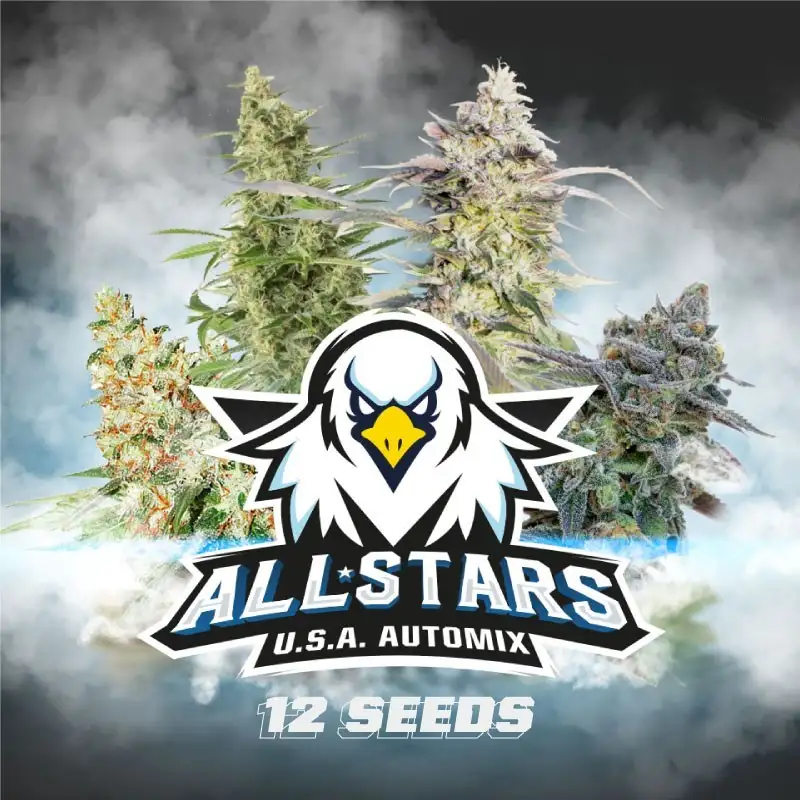 All Stars USA Automix x12 BSF