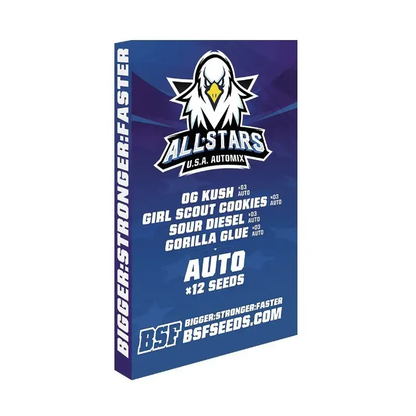 All Stars USA Automix x12 BSF