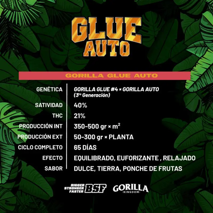 Gorilla Glue Auto x12 BSF