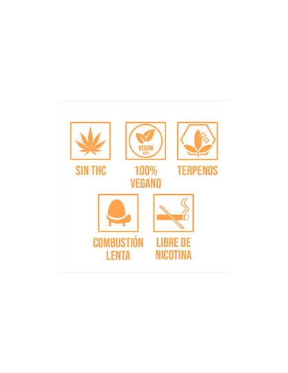 LRC HEMP CONES TERPENO GELATO 33