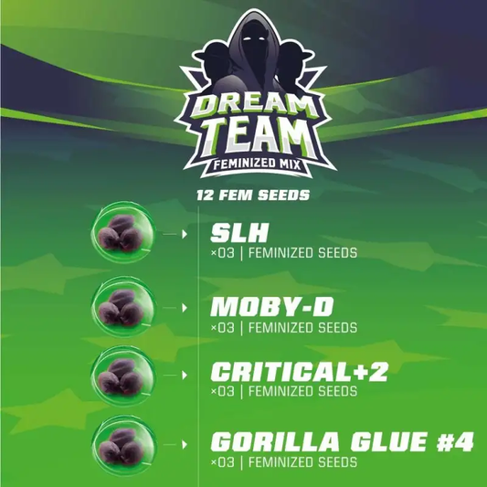 Dream Team Feminized Mix x12 – BSF Seeds