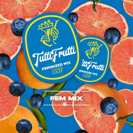 Tutti Frutti Feminized Mix x12 – BSF Seeds