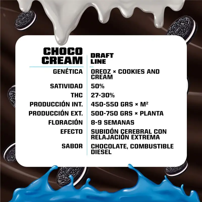 Choco Cream Feminized x4 – BSF Seeds