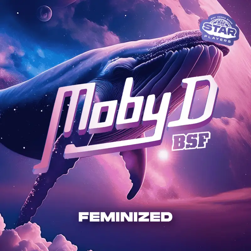 Moby-D x2 – BSF Seeds
