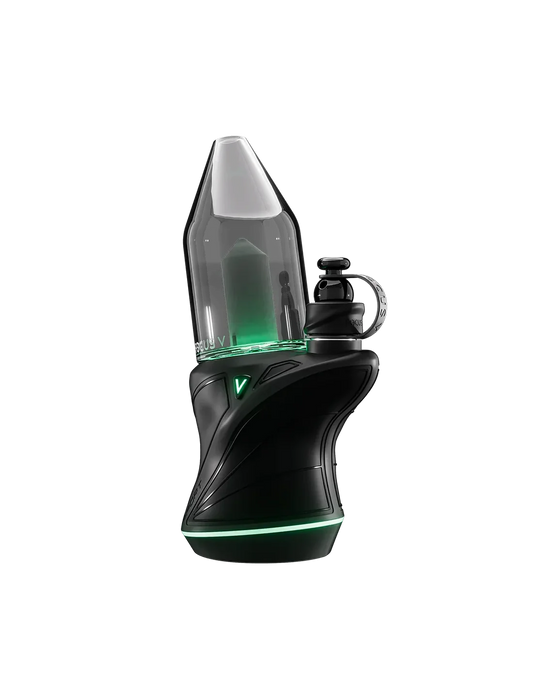 Focus V CARTA SPORT Black