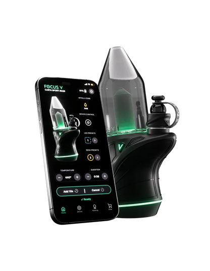 Focus V CARTA SPORT Black