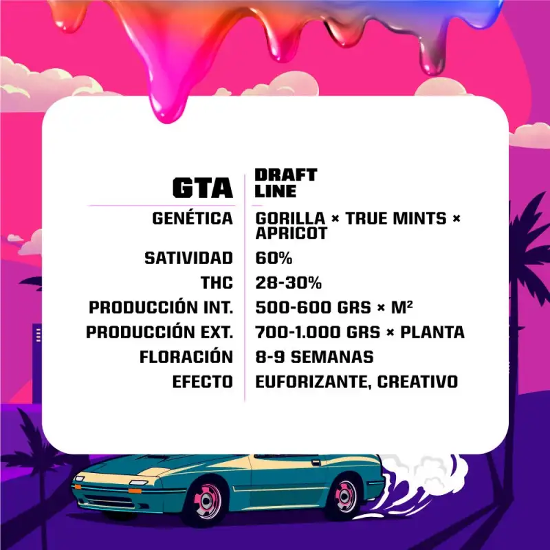 GTA Feminizada BSF Seeds X4