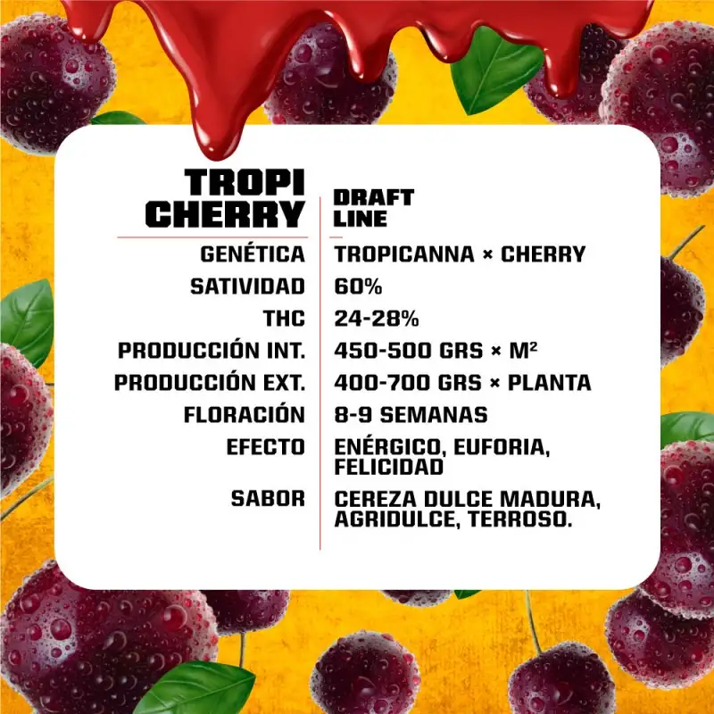Tropicherry Feminizada BSF Seeds X4