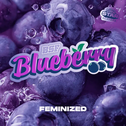 Blueberry Feminizada BSF Seeds X4