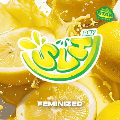 SLH Super Lemon Haze Feminizada BSF Seeds X4