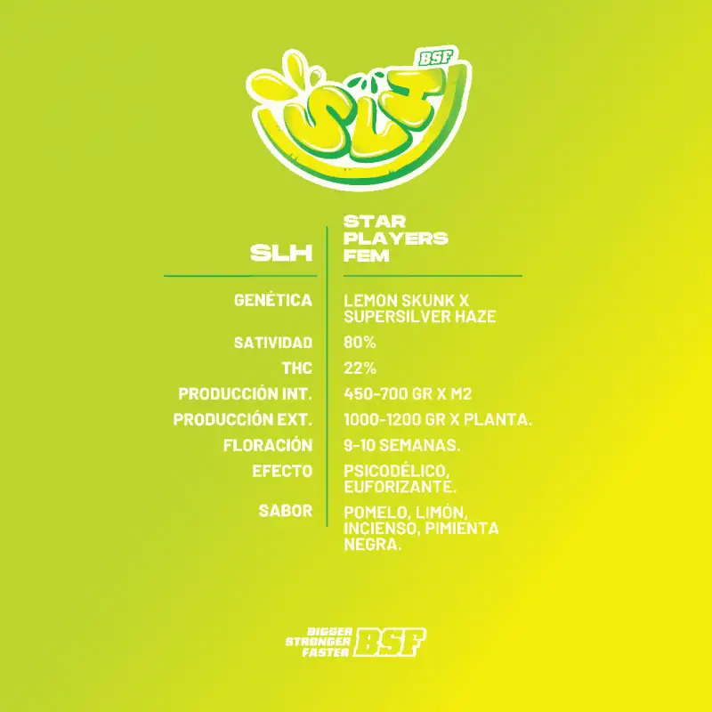 SLH Super Lemon Haze Feminizada BSF Seeds X4
