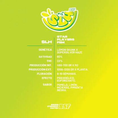 SLH Super Lemon Haze Feminizada BSF Seeds X4