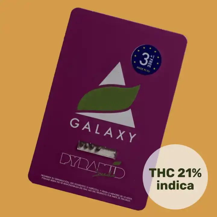 Galaxy - Pyramid Seeds