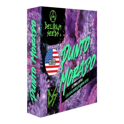 Punto Morado Fast Version x2 – Delirium Seeds