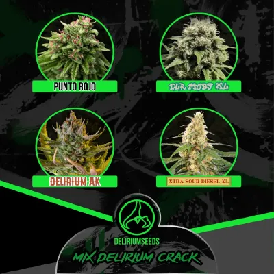 Mix Delirium Cracks Auto x4 – Delirium Seeds