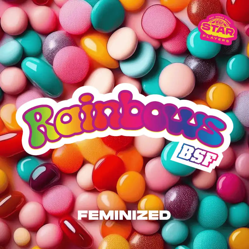 Rainbows Feminizada BSF Seeds x7